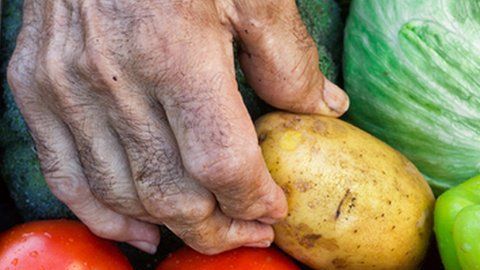 Los campesinos producen 80% de la comida en el mundo en desarrollo. A pesar de ello, son los más propensos a sufrir hambre.