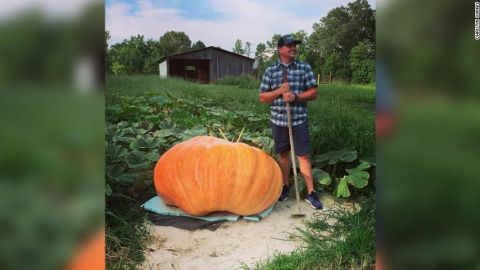 Cultiva una calabaza gigante.