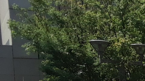 MetroTech Center