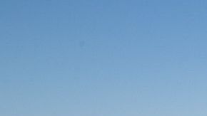 Trabajadores se preparan a trasplantar un gigantesco saguaro en la frontera sur.