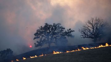 Más de 30 muertes en los 3 grandes incendios en California.