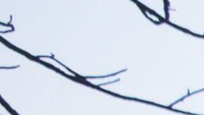 El riesgo de incendios obliga a cortes de energía en California.