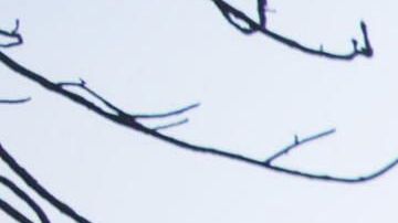 El riesgo de incendios obliga a cortes de energía en California.