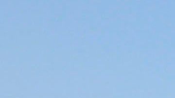 Maradona nos mostró su baile de la victoria.