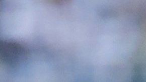 Las rayas tuvieron como figura al cubano Yandy Díaz.