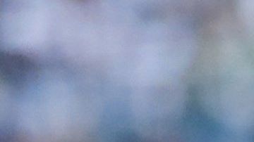 Las rayas tuvieron como figura al cubano Yandy Díaz.