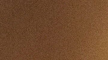 El vicepresidente Mike Pence.