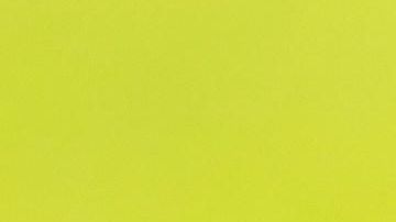 Donald Trump teme por su legado como presidente.