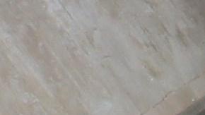 Los indígenas en el edificio del parlamento.