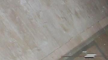 Los indígenas en el edificio del parlamento.