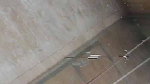 Los indígenas en el edificio del parlamento.