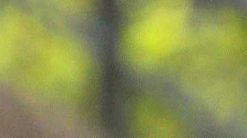 Xabi Alonso, entrenador del Bayer Leverkusen