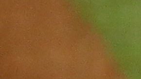 Houston se impuso en extra innings con un bombazo solitario de Carlos Correa.