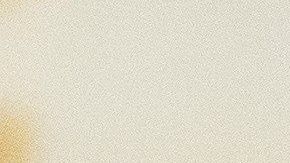 Fiona Hill aseguró que notificó en su momento sobre lo que vio.