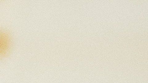 Fiona Hill aseguró que notificó en su momento sobre lo que vio.