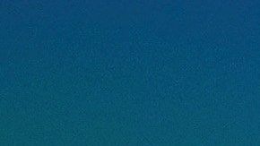 Zidane se reunió con Pogba en Dubái.