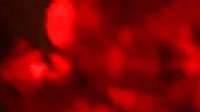 El Día de Muertos en México es una de sus festividades más importantes.