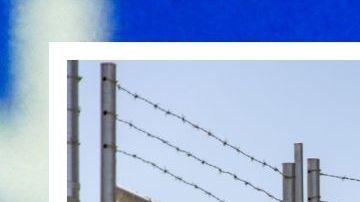 Donald Trump aseguró que la valla se está construyendo "más rápido de lo esperado".