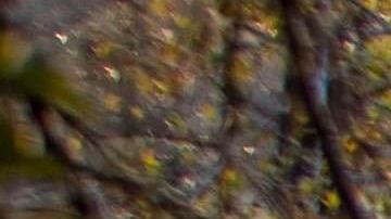 Las ayudas son para los afectados y para los equipos de extinción.