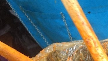 Zacahuil_JetsaF-Commons