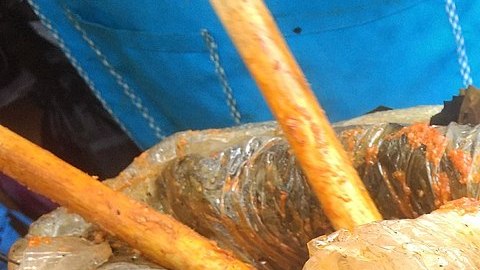 Zacahuil_JetsaF-Commons