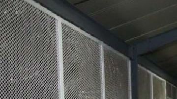 A autoridades mexicanas se les olvidan el Betito y El Pistache enemigos mortales de El Mencho