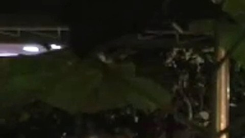 Escena del accidente en la calle 88