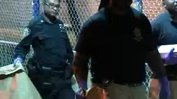 NYPD en la escena