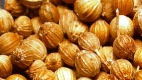 La mostaza destaca por ser rica en vitamina A y minerales, como el sodio, hierro y potasio. Gracias a su riqueza mineral acelera el proceso de transporte de nutrientes y mantiene los músculos del cuerpo en un buen estado.