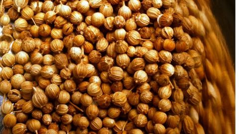 La mostaza destaca por ser rica en vitamina A y minerales, como el sodio, hierro y potasio. Gracias a su riqueza mineral acelera el proceso de transporte de nutrientes y mantiene los músculos del cuerpo en un buen estado.
