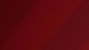 Actualmente, se están llevando los trámites necesarios para concretar la venta.