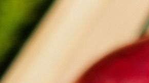 Las manzanas fueron enviadas entre el 16 y 21 de octubre.