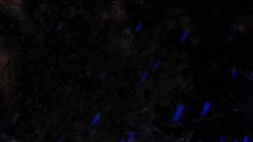 Un árbol caido en una carretera de Massachusetts.