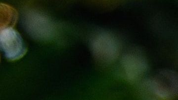 ashton-bingham-SAHBl2UpXco-unsplash