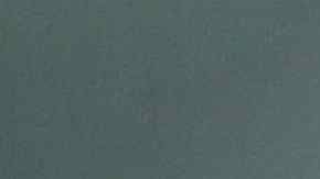 La policía encontró a la menor en la casa de Altman. El había dicho que no estaba allí.