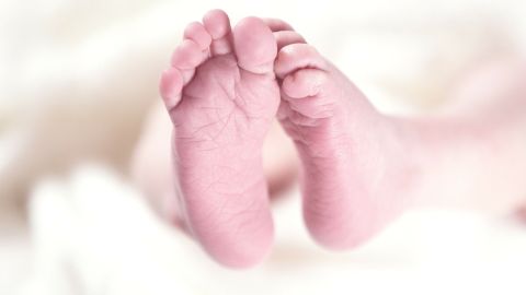 baby-256857_1920