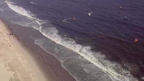 Los menores desaparecieron mientras nadaban por la playa de la calle 96.