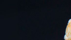 Además de obtener una hamburguesa a ¢1 centavo, también podrías ganarte $1 millón de dólares.