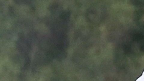 Justin Bieber y Hailey Baldwin