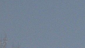 La nevada adelantada deja sin pasto a las reses que aún están en los campos.