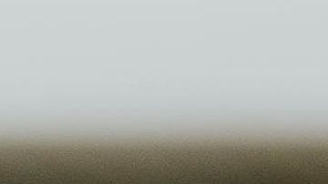 La lengua también tiene receptores olfativos.