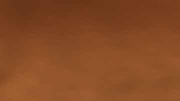 También se recomienda tomar entre cuatro y seis tazas.