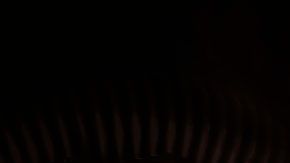 Aunque no lo creas, tu rostro podría valer cientos de miles de dólares para esta empresa.