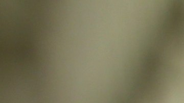 Una de las principales razones por la cual los inmigrantes pasan más tiempo detenidos es por no poder pagar sus fianzas.