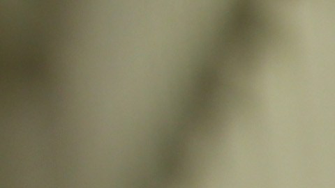 Una de las principales razones por la cual los inmigrantes pasan más tiempo detenidos es por no poder pagar sus fianzas.