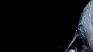 Imágenes de Perra de nadie