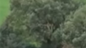 La casa donde los encontraron.