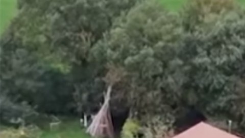 La casa donde los encontraron.