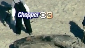 Uno de los ejemplares fallecidos