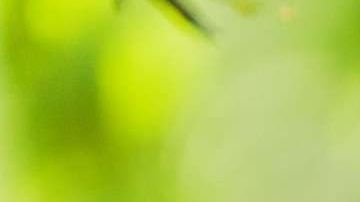 cerebro-lectura-shutterstock-nota-2-p5